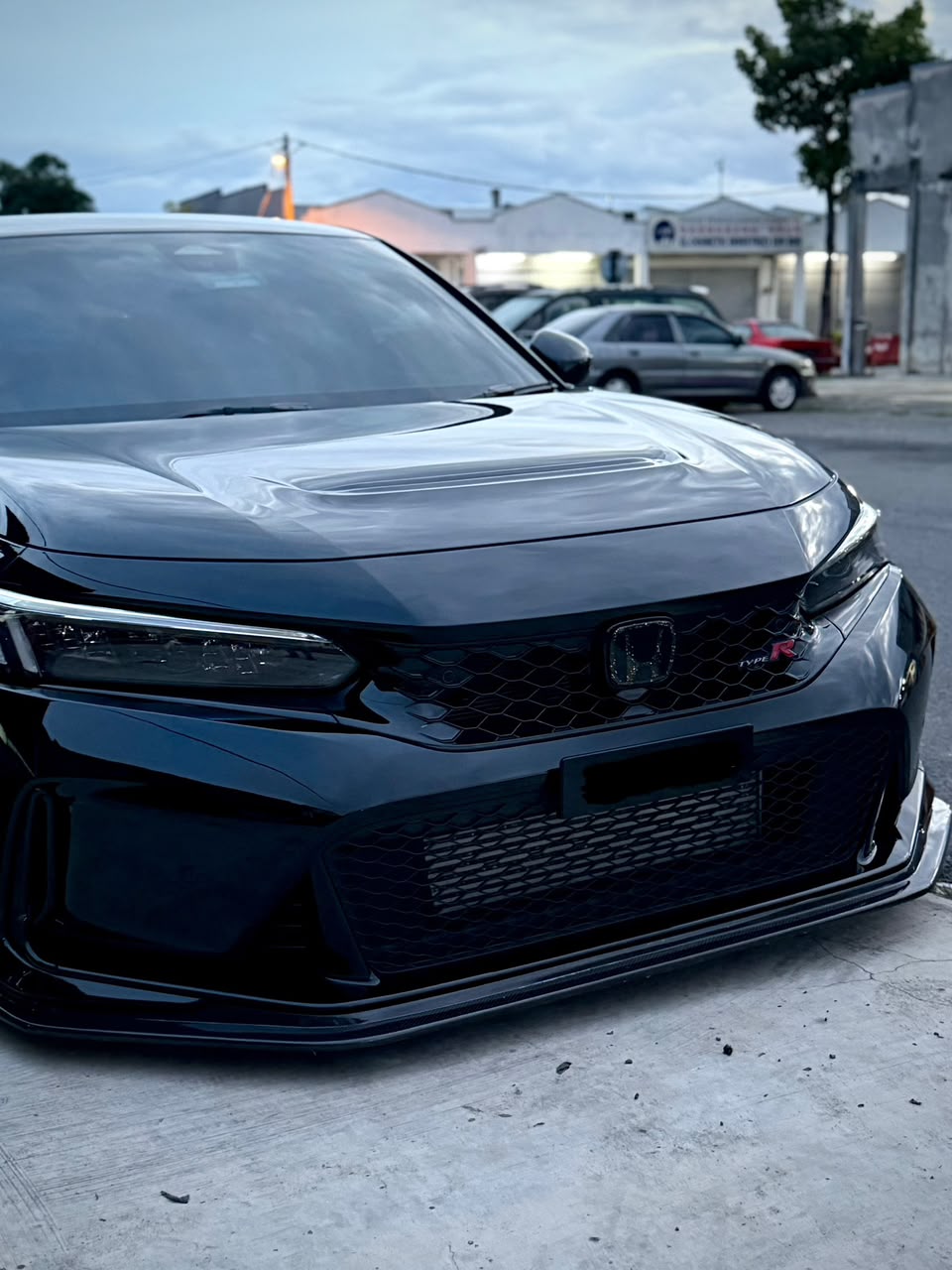(Custom) Black+Gold Flakes Honda Dry Carbon Emblem